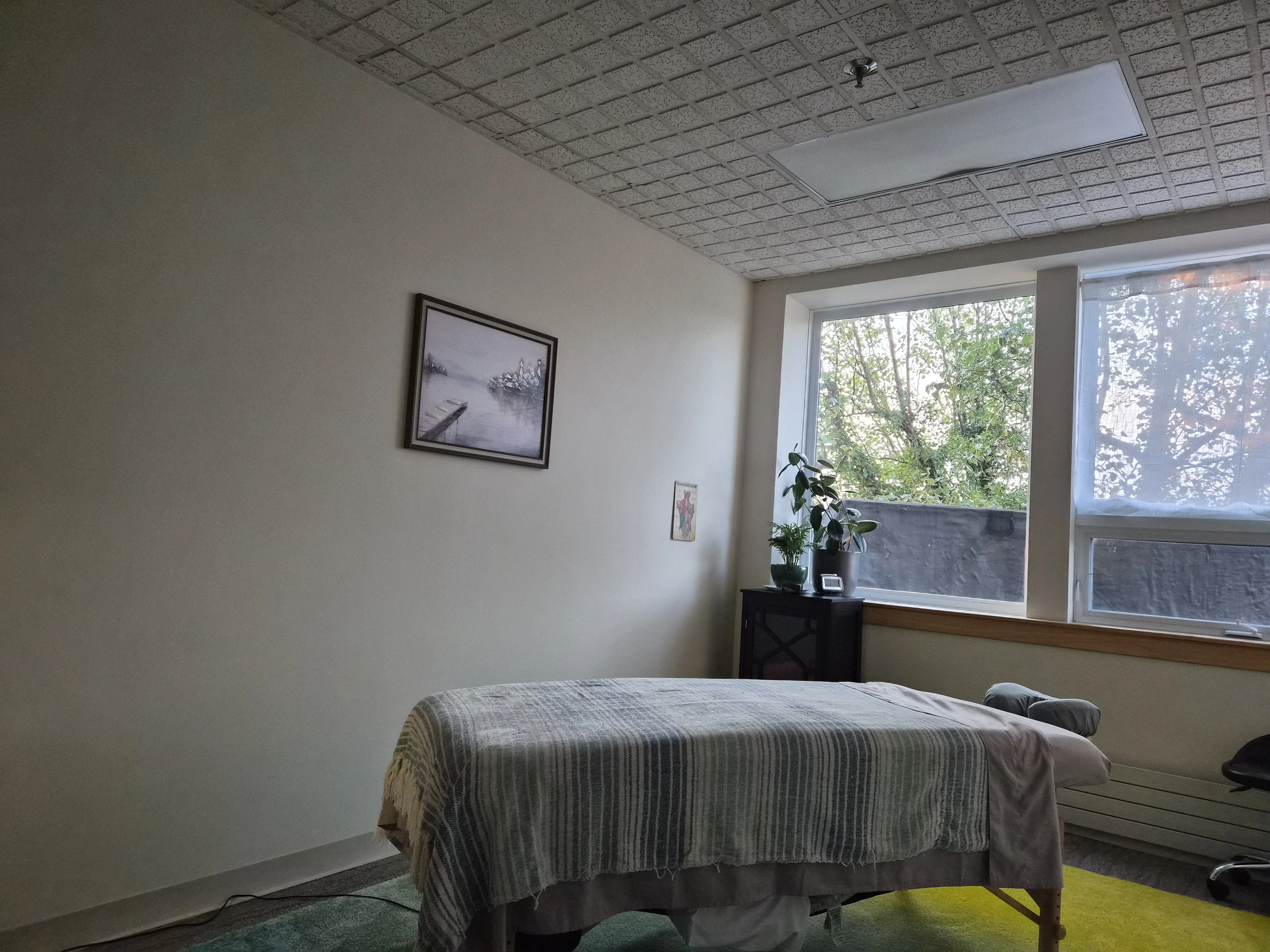 The treatment room with the massage table made up beside a window looking onto trees
